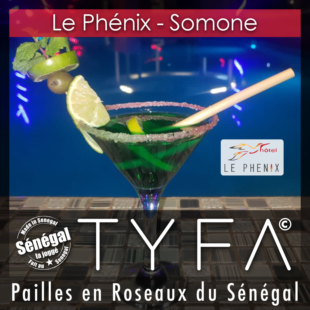 Pailles TYFA, bio, naturelles, Sénégal : Le Phénix | Somone